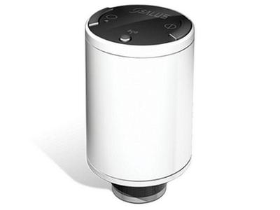 SALUS TRV10RFM